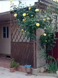 Южный берег - 10