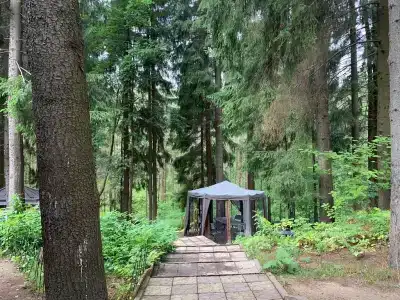 Домик Охотника - 15