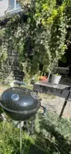 Ассоль - 31