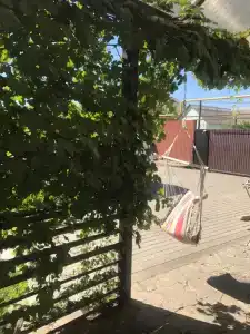 Ассоль - 43