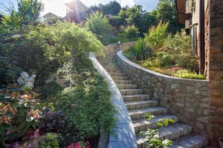 Роза ветров - 41