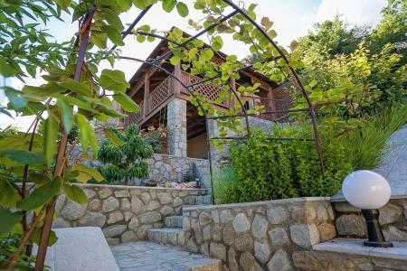 Роза ветров - 43