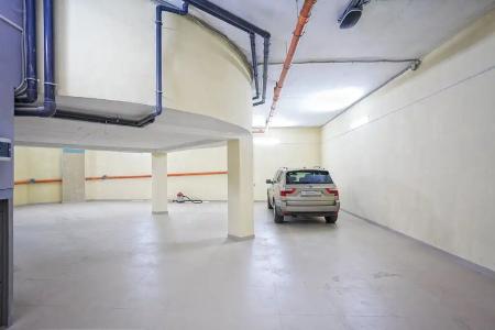 Роза ветров - 53