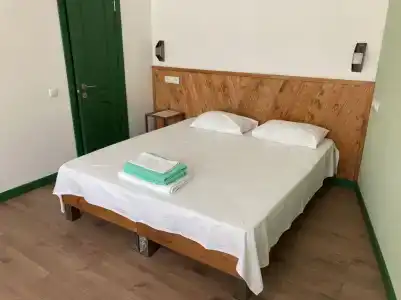 Тополя - 11