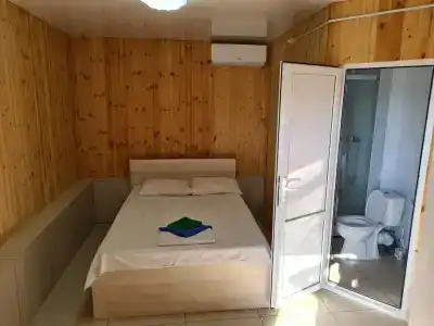 Пальма Финик - 4