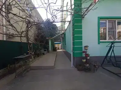 Green House - 1