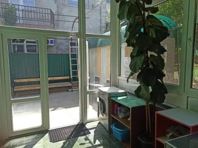 Green House - 12