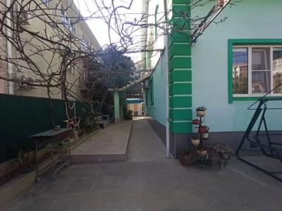 Green House - 28