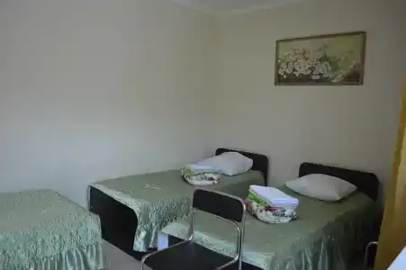 Родничок - 15