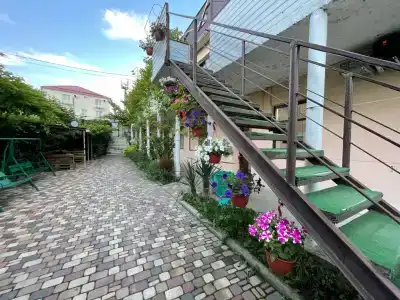 Аист - 1