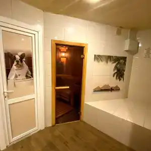 Дарсити - 12