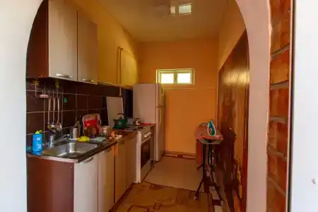 Лиана - 3