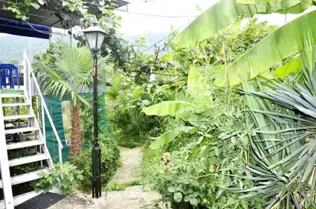 Зеленый Дворик - 3