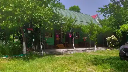 СаНата - 0