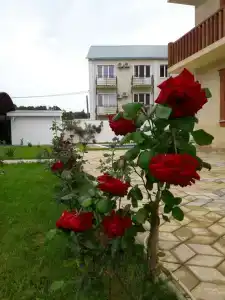 Престиж-Марас - 5