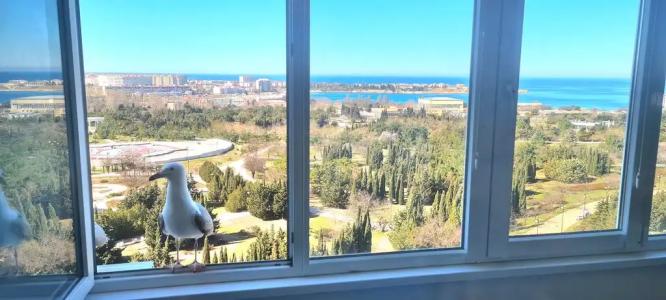 Квартиры на Адмирала Фадеева 48 - 403