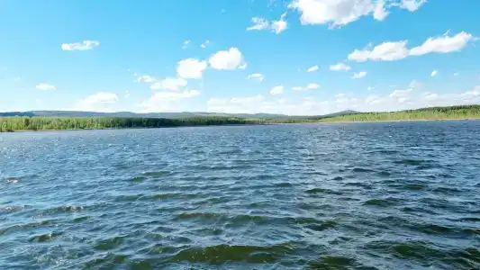 Родники - 6