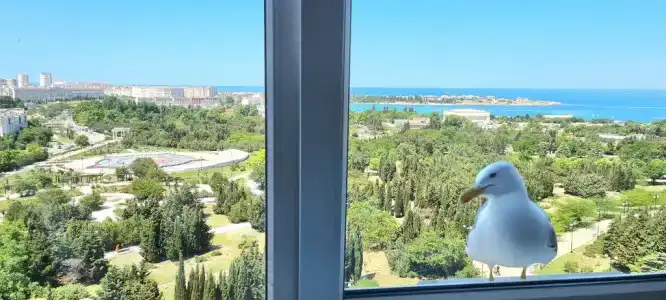 Квартиры на Адмирала Фадеева 48 - 435