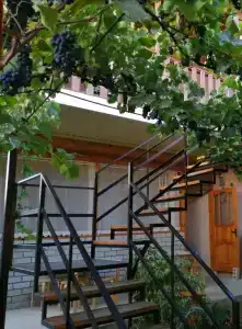Светлячок - 3