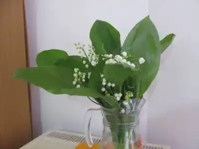 Уют - 1