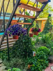 Александра - 8