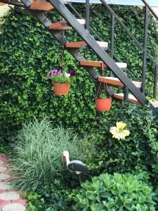 Александра - 13