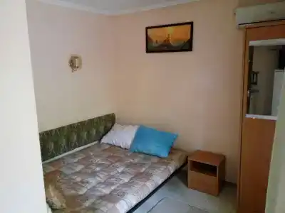 Дом в можжевеловой роще - 6