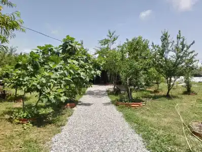 У Отара - 2