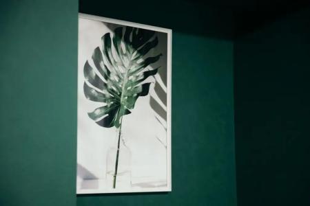 Gardens - 33