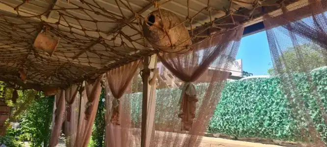 У Юджина - 81