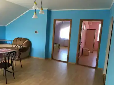 У Светланы - 31
