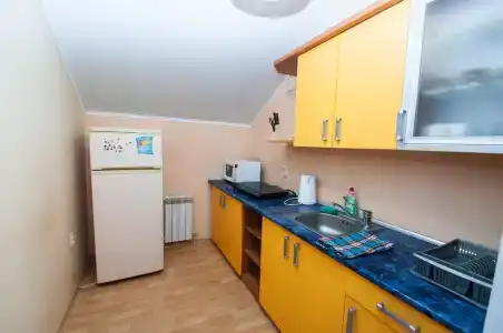 У Светланы - 44