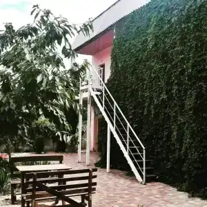 Фламинго - 35