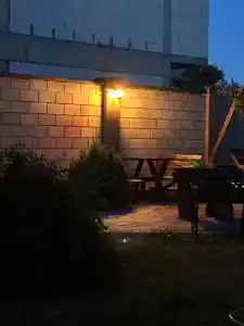Фламинго - 36