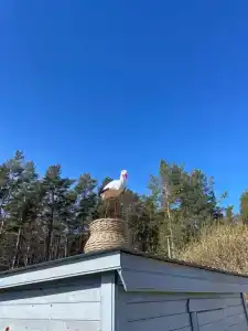 Снетковское Озеро - 114