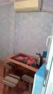 Дача Петровичи - 19
