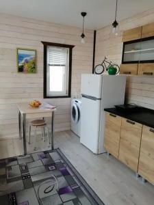 ТСН Фиолент 120к917 - 9