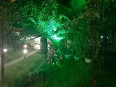 Фиеста - 3
