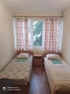 Авангард - 16