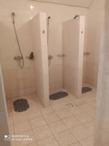 Авангард - 20