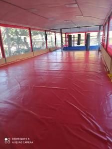 Авангард - 29