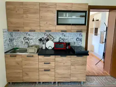 Виноградная Лоза - 102