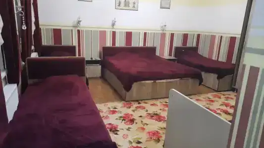 Роза - 12