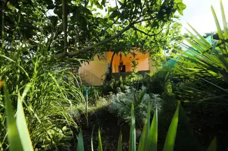 Тропиканка - 26