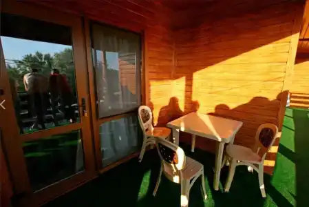 Золотистый - 3