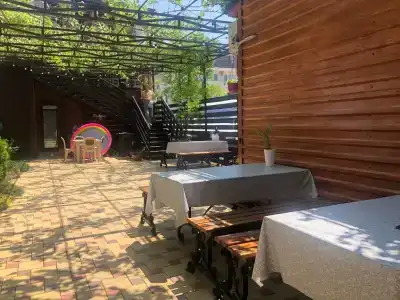 Золотистый - 6
