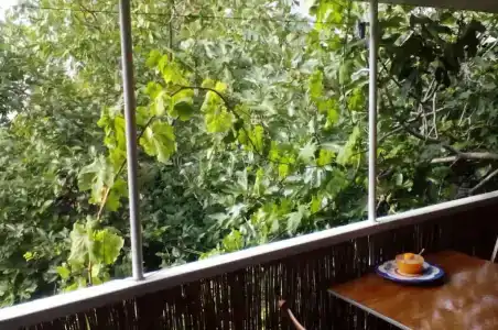 Гостевой дом на Водовозовых 18 - 31
