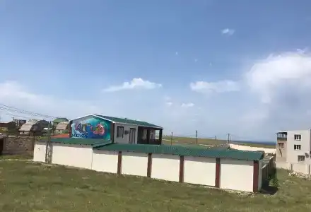 Медуза - 16