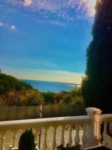 Роза ветров - 82