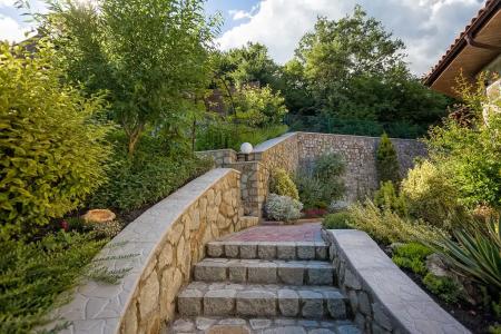 Роза ветров - 110